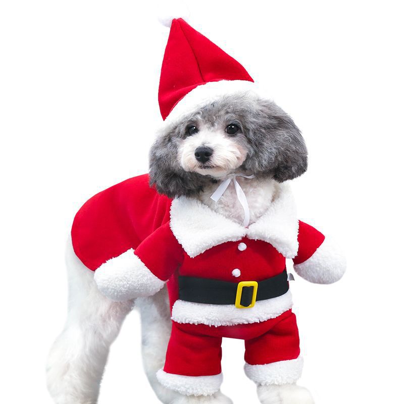 Pet Christmas Decoration