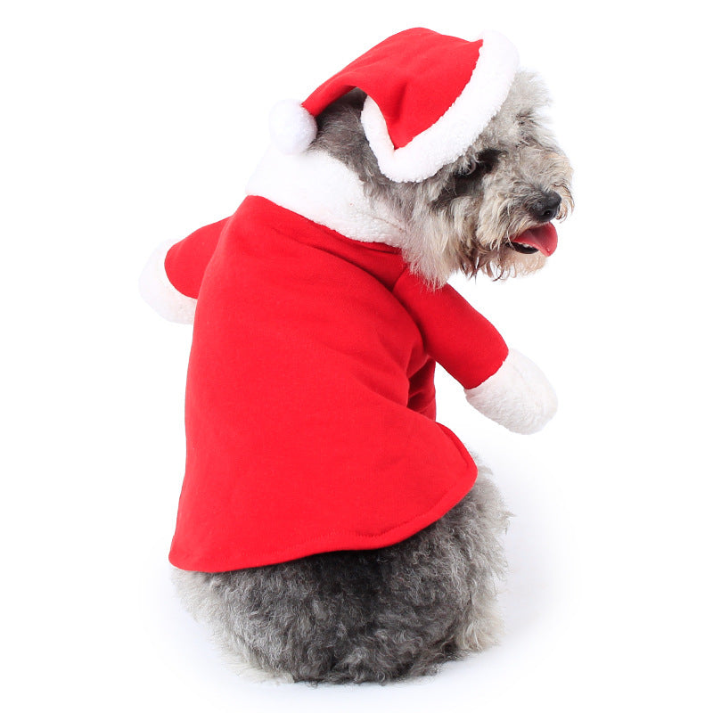 Pet Christmas Decoration