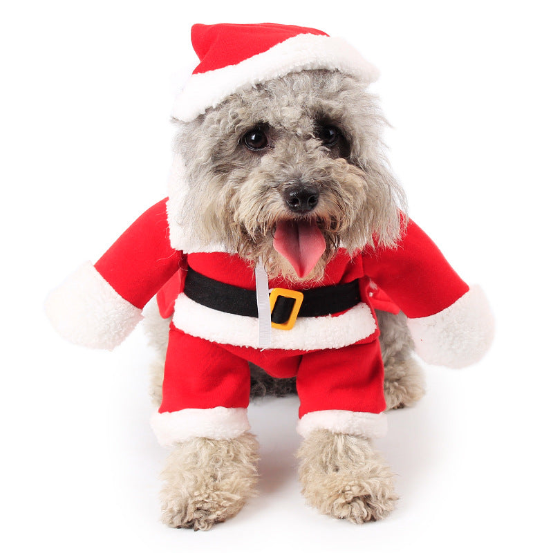 Pet Christmas Decoration