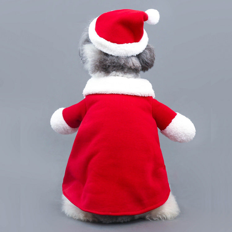 Pet Christmas Decoration