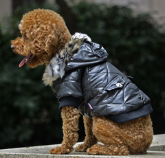 pet dog clothing for Winter