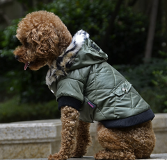 pet dog clothing for Winter