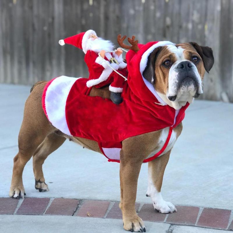 Santa riding outfit