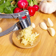 Garlic Press Crusher Mincer Chopper