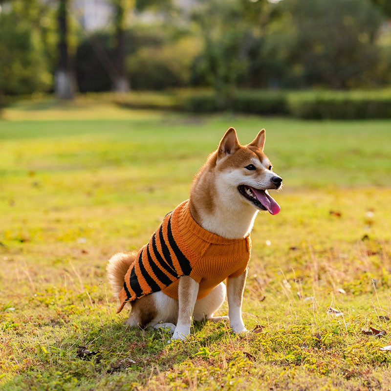 Dog Sweaters