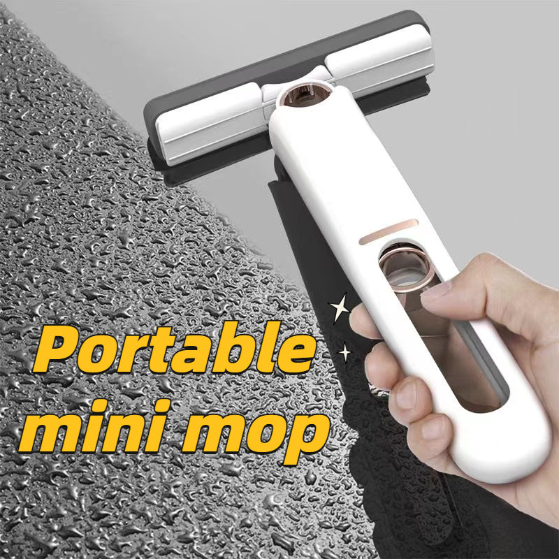 Cleaning Mop Desk Window Glass Cleaner