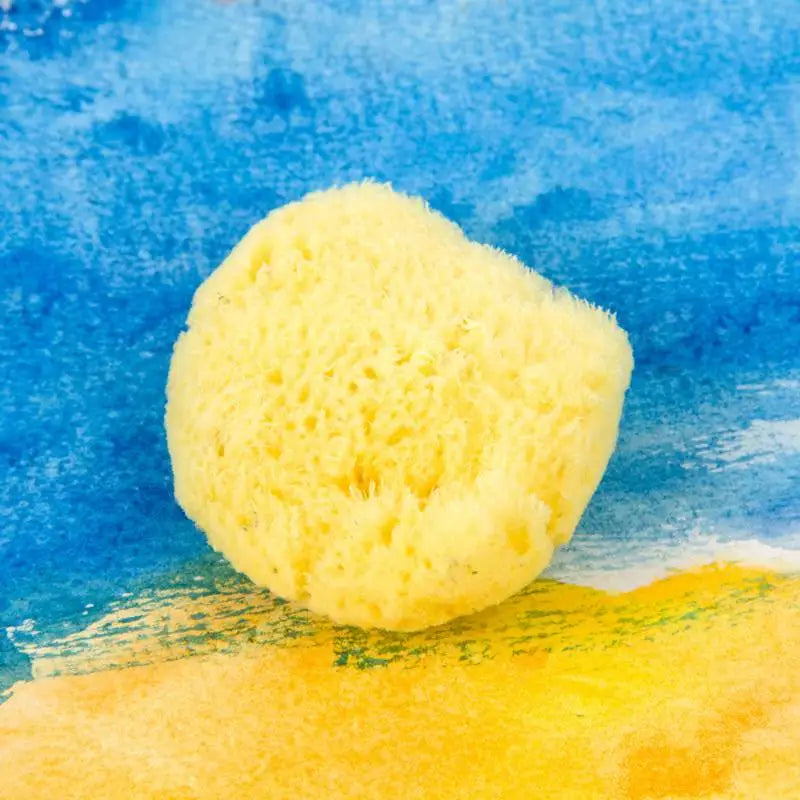 Greece Natural Sponge Watercolor Gouache Paint Water absorbent Sponge 4-5CM For Painting Drawing Art Supplies