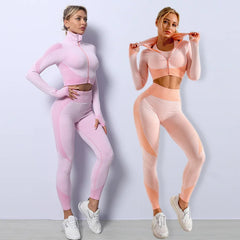 Women's Seamless Yoga Wear  T-Shirt Elastic Leggings Set