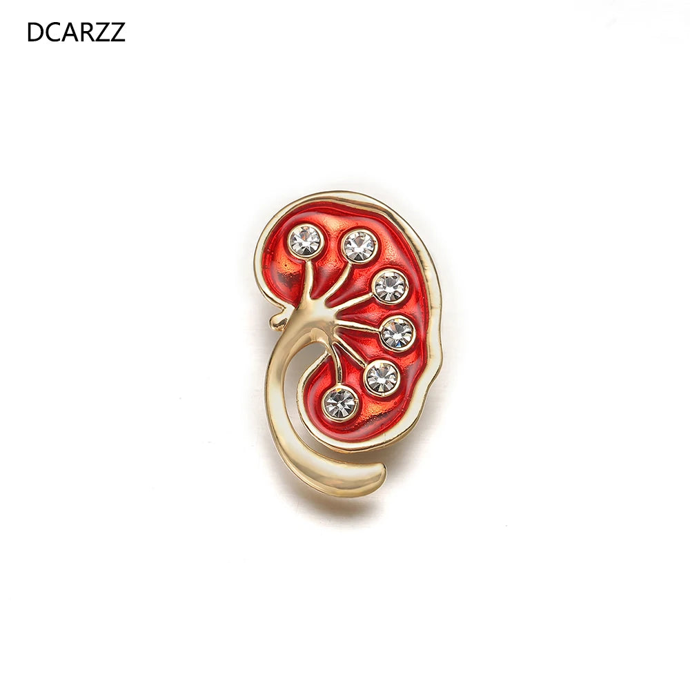 Kidney Pin Medical Gift Doctors Nurse Color Brooches Pins Crystal Trendy Jewellery