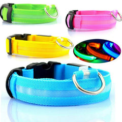 Dogs LED Collars