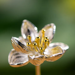 Sterling Silver Earrings