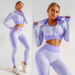 Women's Seamless Yoga Wear  T-Shirt Elastic Leggings Set