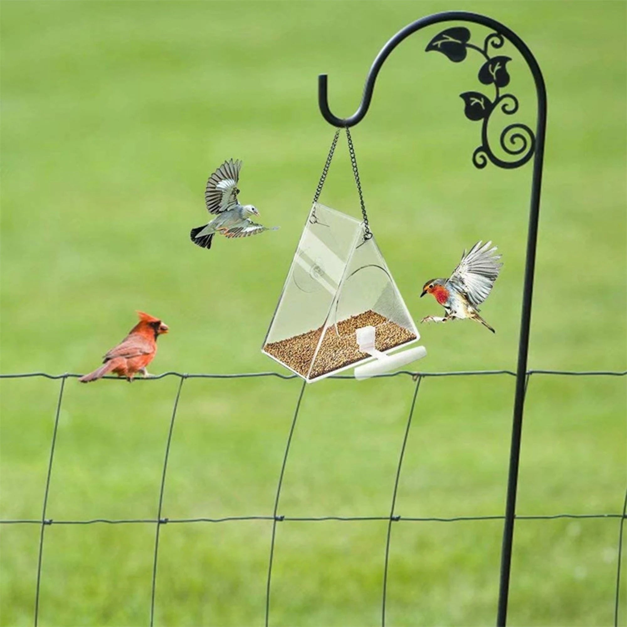 Triangle Transparent Bird Feeder Acrylic Metal Waterproof Hanging Birds Food Container for Indoor Outdoor decor