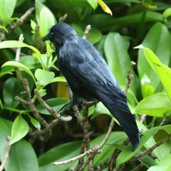 Artificial Crow Simulation Black Crow Animal Model Black Bird Raven Prop Scary Decoration For Halloween