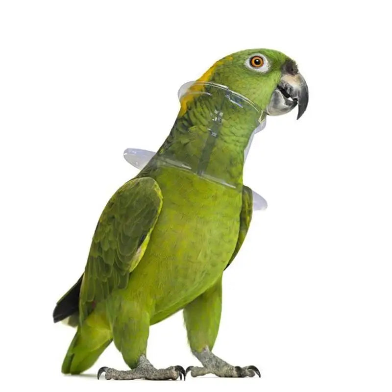 Collar Bird Parrot Bite Anti Neck Supplies Neckband Recovery Necklace Pet Cone Plucking Collars Birds Cover Picking Elizabethan