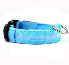 Dogs LED Collars