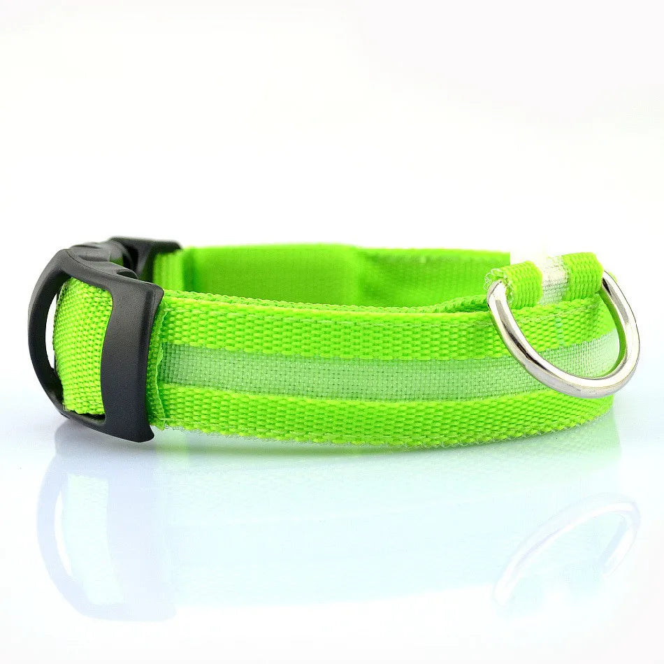 Dogs LED Collars