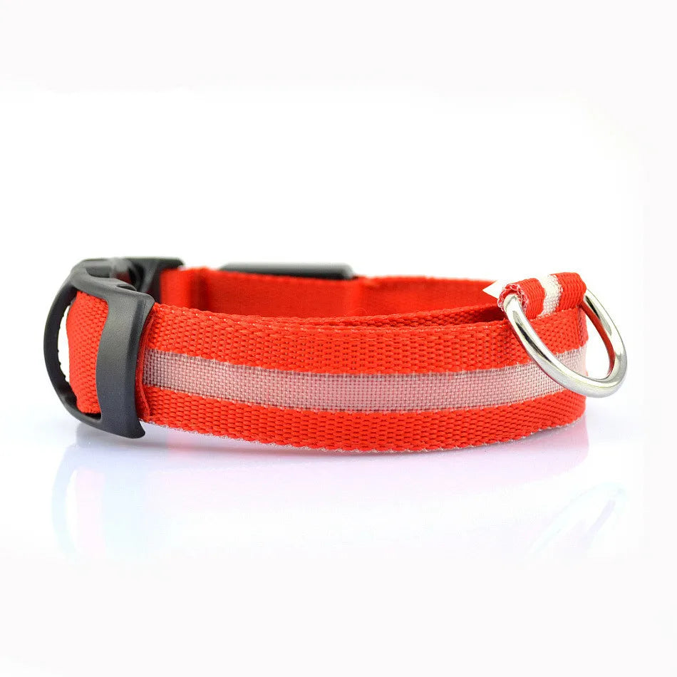 Dogs LED Collars