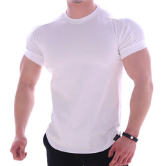 Fitness Brand Tights Men's Sport T-shirt Quick Drying Clothes