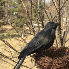 Artificial Crow Simulation Black Crow Animal Model Black Bird Raven Prop Scary Decoration For Halloween