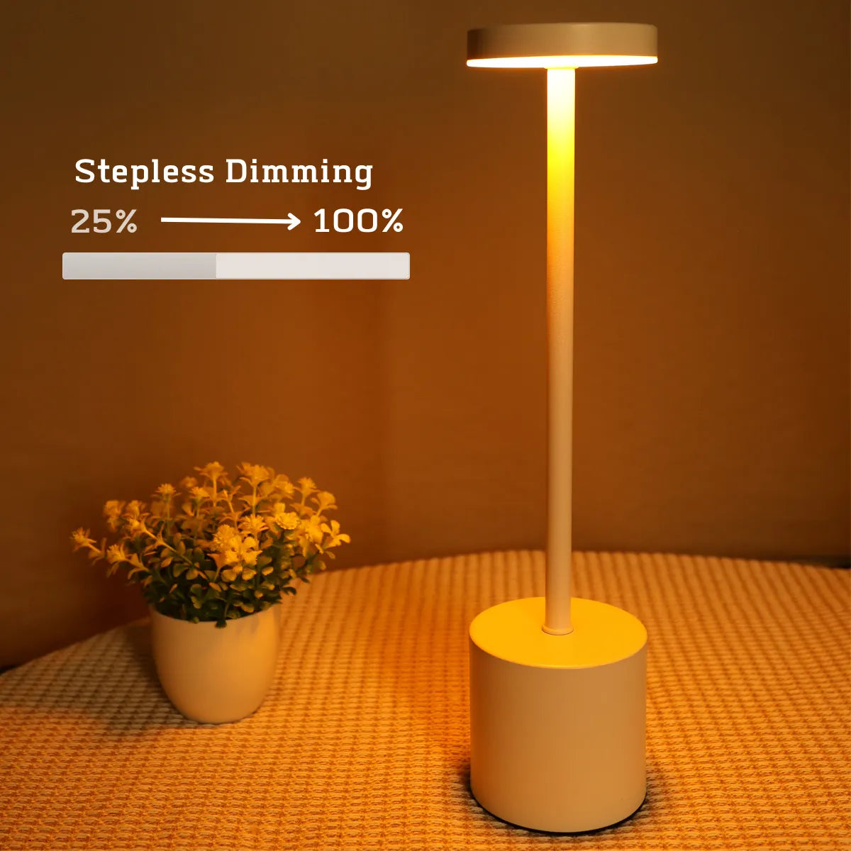 LED Rechargeable Touch Metal Table Lamp Night Light