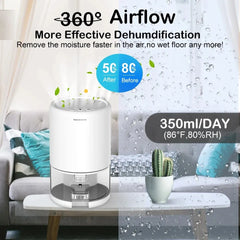 Small Household Air Dehumidifier Silent Moisture-proof Dryer in Bedroom Basement Office