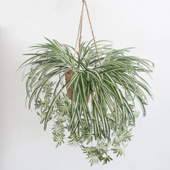 Artificial Plants Chlorophytum Hanging Basket Fake Plant Outdoor