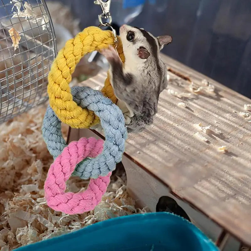 Hamster Climbing Rope