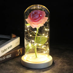 Beauty and Beast Rose Flower with Teddy Rose Bear In Glass Dome Home Wedding Decoration Christmas gift