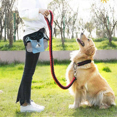 Portable Dog Treat Bag Outdoor Dog Treat Pouch for Training Feeding Bag