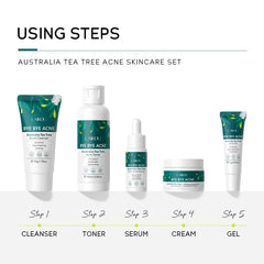 Tea Tree Skin Care Kit Face Cream Cleanser Oil Control Toner Remove Blackhead Smoothing gel Tea Tree Essences