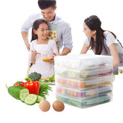 Food Storage Box Container Fruit Vegetable Refrigerator Freezer Organizers