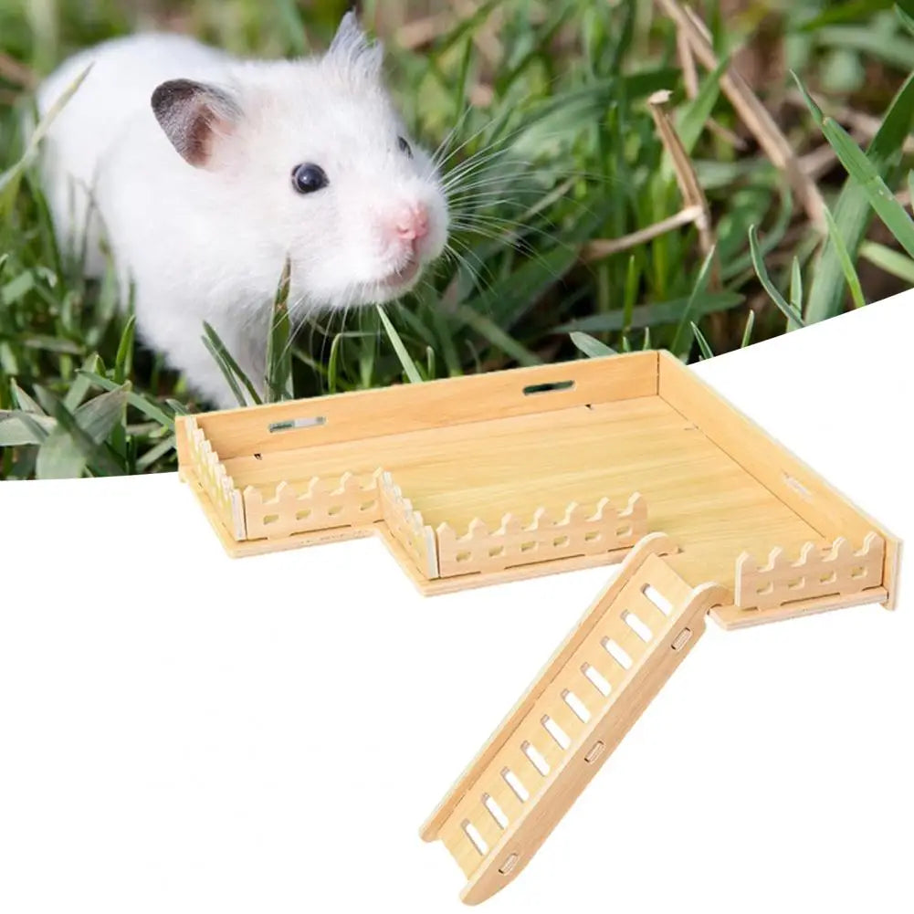 Practical Hamster Climbing Ladder