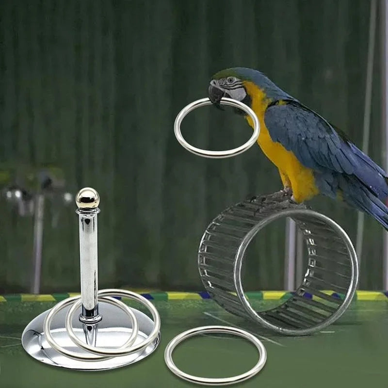 Bird Parrots Interactive Training Toys Intelligence Development Stacking Metal Ring Training Sets Birds Supplies Pet Accessories