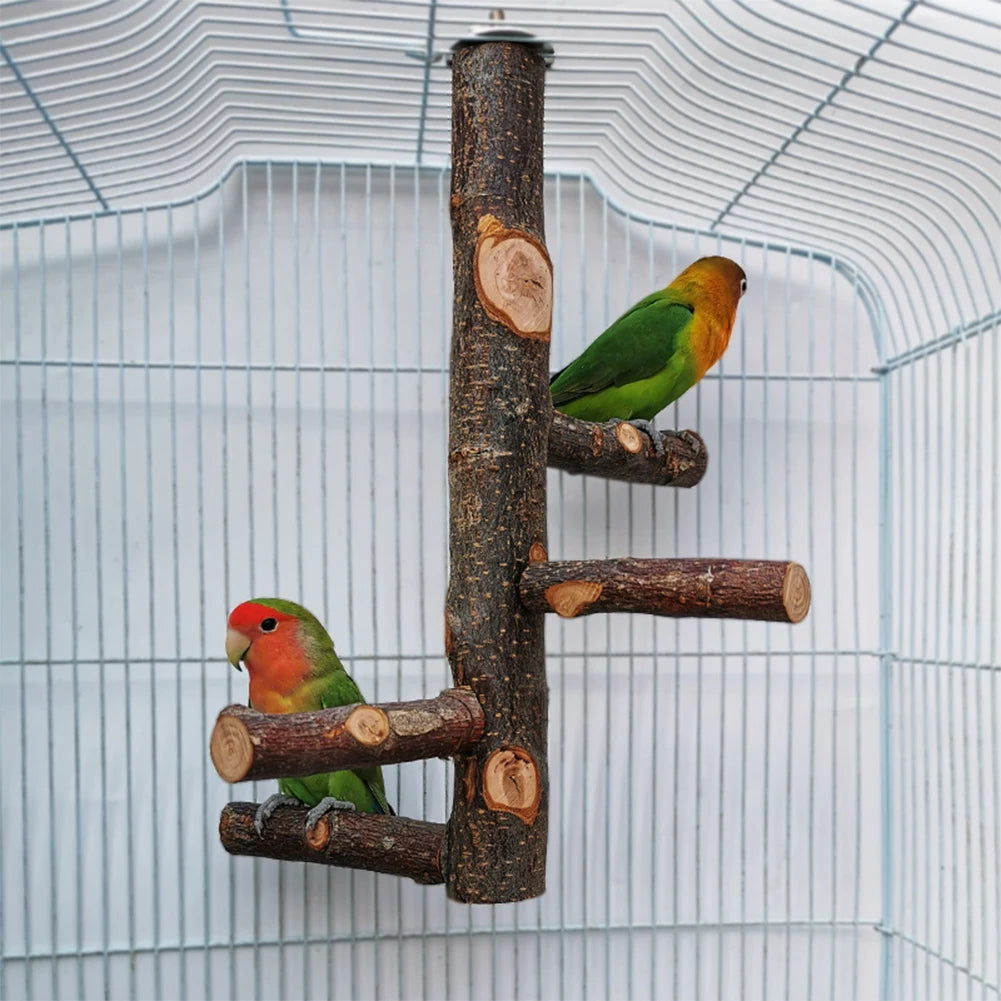 Pet Parrot Stand Solid Wood Standing Stick Pole Biting Molar Claw Grinding Toy Bird Cage Supplies