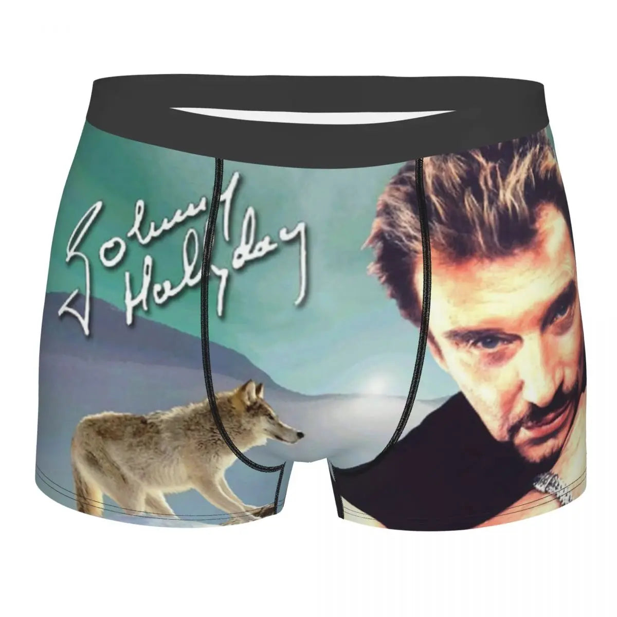 Custom Male Fashion Johnny Hallyday Underwear French Singer Rock Music Boxer Briefs Soft Shorts Panties Underpants