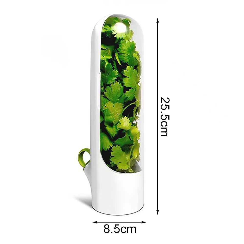 Multifunction Refrigerator Fruit Vegetable Herb Storage Container