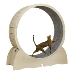 Popular Interactive Exercise Cat Running Wheel l Cute Cat Furniture