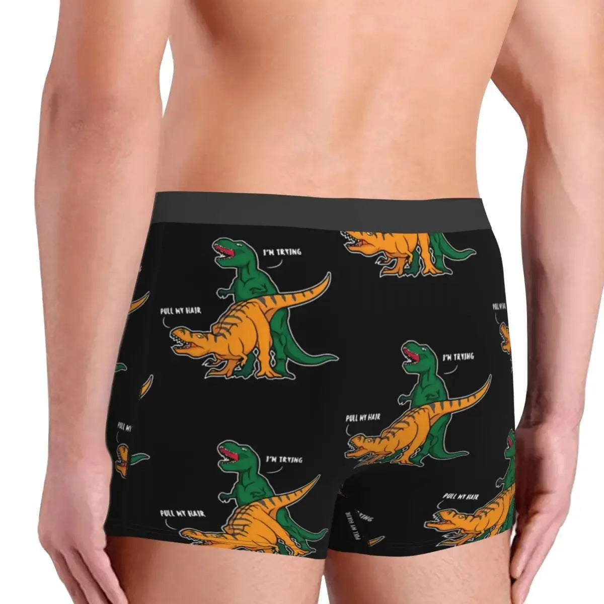 T-Rex Man's Boxer Briefs Underwear Dinosaurs Highly Breathable High Quality Shorts Gift Idea