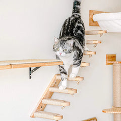 1 Piece Wall Mounted Cat Climbing Shelf Hammock Stairway For Indoor Cats Wooden Hanging Bed Scratching Post Pet Furniture Kitten