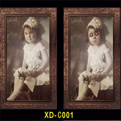 Halloween Decoration Changeable 3D Ghost Face Photo Frame Horror Portrait Picture