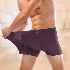 Top Quality Boxers  Bamboo Male Underwear