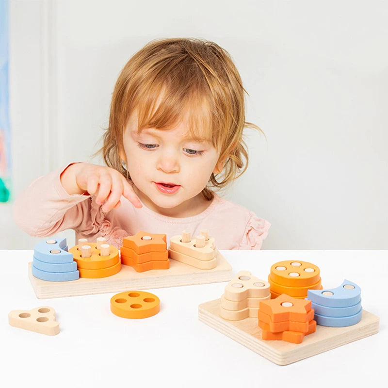 Montessori Kids Wooden Shape Toy Building Blocks Early Learning Educational Toys