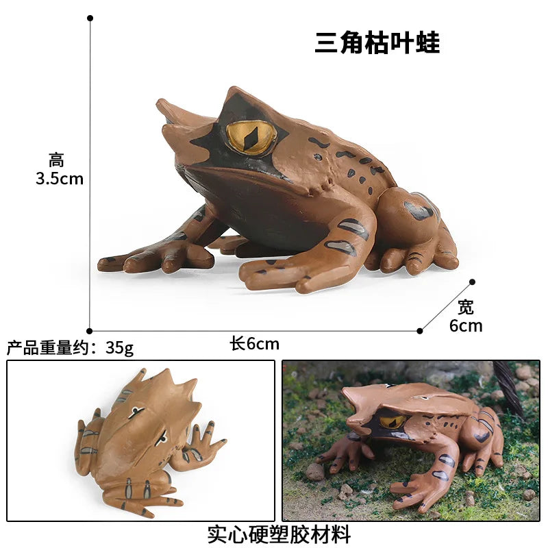 Children Animal Cognition Wild Animal Science and Education Toy Model Solid Palm Prayer Frog Ornament