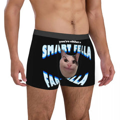 Men You're Either A Smart Fella Or A Fart Smella Boxer Briefs Shorts Panties