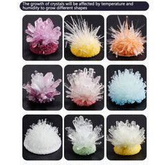 Display Cases Crystal Growing Kit Grow a Crystal Easy-to-Follow Manual DIY Educational Science Toys