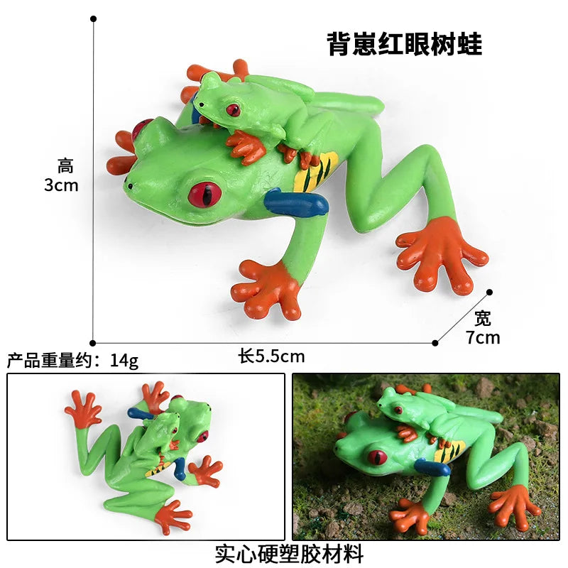 Children Animal Cognition Wild Animal Science and Education Toy Model Solid Palm Prayer Frog Ornament