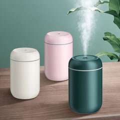 Portable Air Humidifier USB Aroma Essential Oil Diffuser For Home & Car