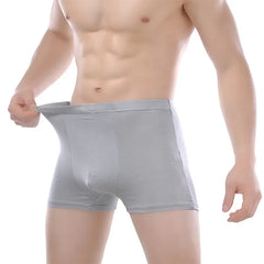Top Quality Boxers  Bamboo Male Underwear