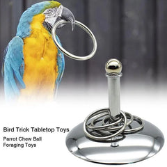Bird Parrots Interactive Training Toys Intelligence Development Stacking Metal Ring Training Sets Birds Supplies Pet Accessories